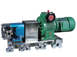 Rotor pump