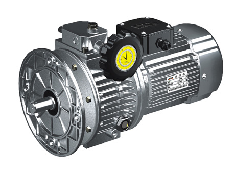 Worm gear reducer 